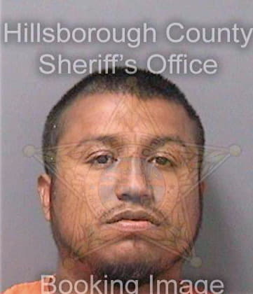 Ramirez Jorge - Hillsborough County, FL 