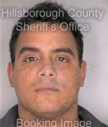 Garcia Enrique - Hillsborough County, FL 