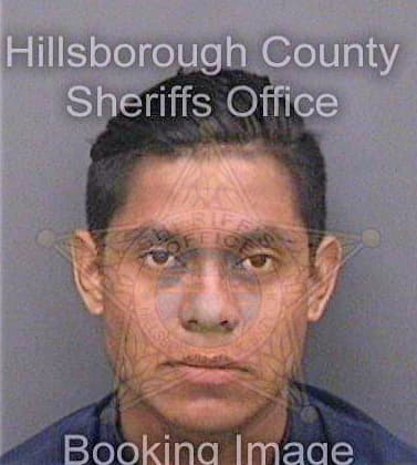 Santizgomez Roberto - Hillsborough County, FL 