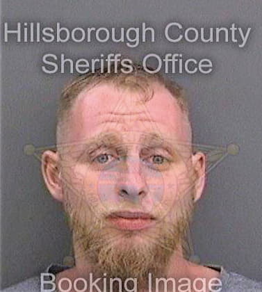 Mcdonnell David - Hillsborough County, FL 