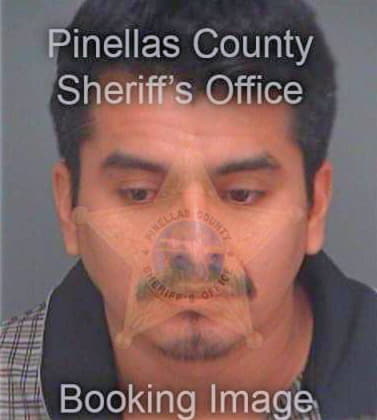 Paulinohernandez Alfonso - Pinellas County, FL 