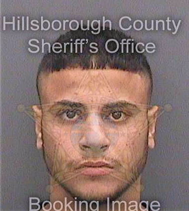 Elshikh Ahmed - Hillsborough County, FL 