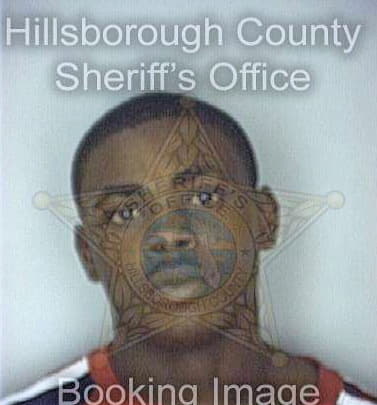 Boone Michael - Hillsborough County, FL 