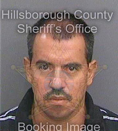 Restrepolondono Nicolas - Hillsborough County, FL 