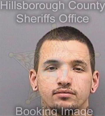 Gonzalez Gregorio - Hillsborough County, FL 