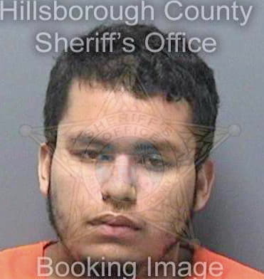 Perez Francisco - Hillsborough County, FL 