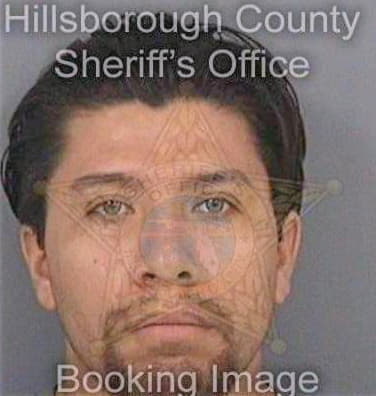 Diaz Pedro - Hillsborough County, FL 