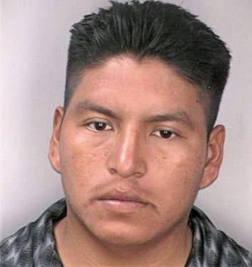 Mendezruiz Carlos - Hillsborough County, FL 