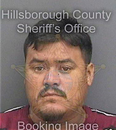 Gonzalez Miguel - Hillsborough County, FL 