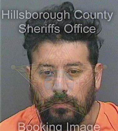 Cuellar Alvaro - Hillsborough County, FL 