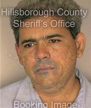 Silva Luis - Hillsborough County, FL 