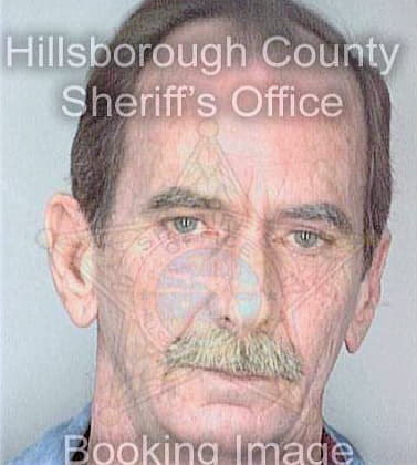 Simpson William - Hillsborough County, FL 