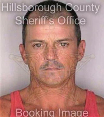 Leonard David - Hillsborough County, FL 