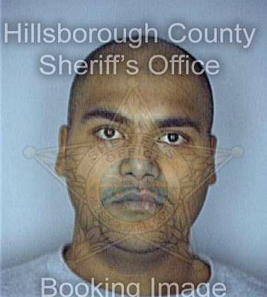 Persad Mark - Hillsborough County, FL 