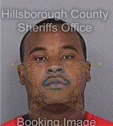 Lewis Quron - Hillsborough County, FL 