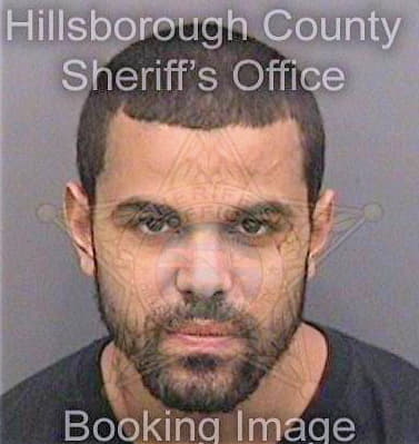 Polanco Jorge - Hillsborough County, FL 