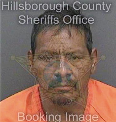 Gomez Hildeberto - Hillsborough County, FL 