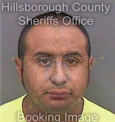 Lealramirez Luis - Hillsborough County, FL 