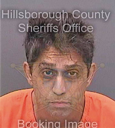 Stevenson Paul - Hillsborough County, FL 