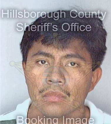 Martinezgarcia Jose - Hillsborough County, FL 