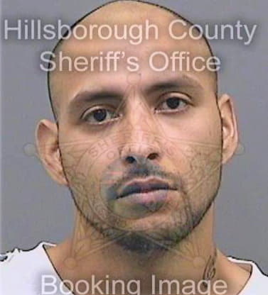 Vega Jason - Hillsborough County, FL 