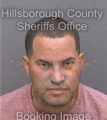 Mendozalebron Elvin - Hillsborough County, FL 