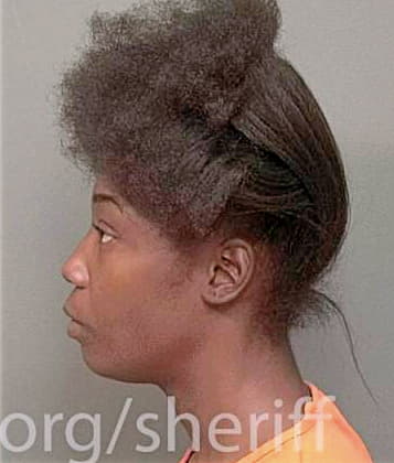 Merriweather Michelle - Montgomery County, TN 