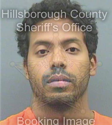 Pimentel Joshua - Hillsborough County, FL 