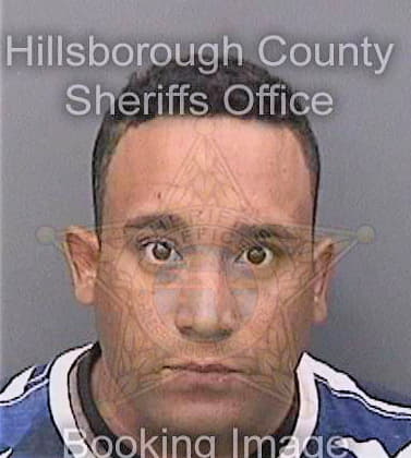 Maldonadodiaz Roberto - Hillsborough County, FL 