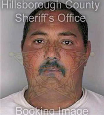 Silva Mario - Hillsborough County, FL 