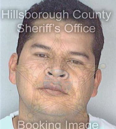 Soto Rocael - Hillsborough County, FL 