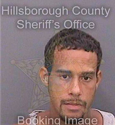 Blair Andrew - Hillsborough County, FL 