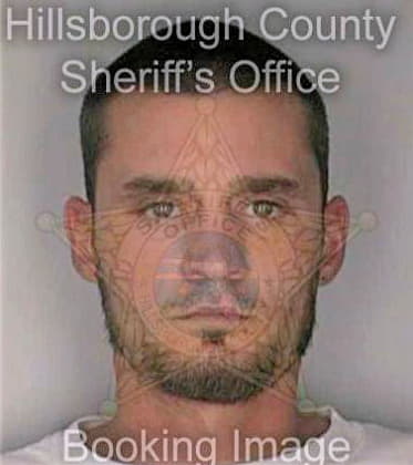 Gougeon James - Hillsborough County, FL 