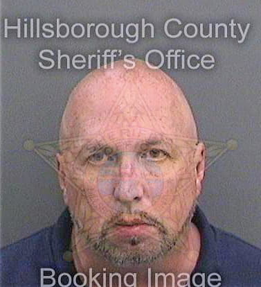 Peters David - Hillsborough County, FL 