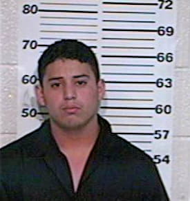 Garza Daniel - Hidalgo County, TX 