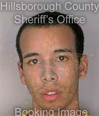 Perez Pedro - Hillsborough County, FL 