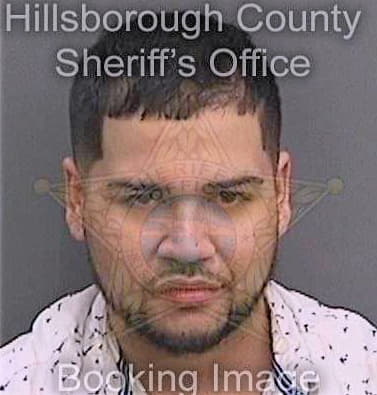 Borjagildelamadrid Andres - Hillsborough County, FL 