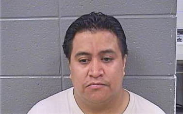 Patino Jose - Cook County, IL 