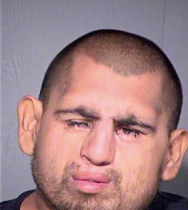 Gonzalez Manuel - Maricopa County, AZ 