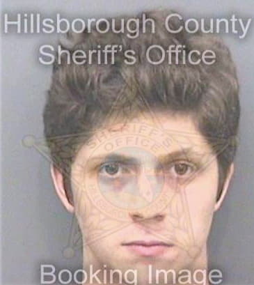 Collins Patrick - Hillsborough County, FL 