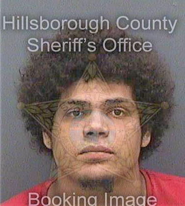 Nievescotto Hector - Hillsborough County, FL 