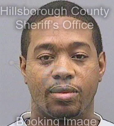 Snell Tyrone - Hillsborough County, FL 