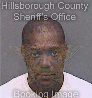 Johnson Sylvester - Hillsborough County, FL 