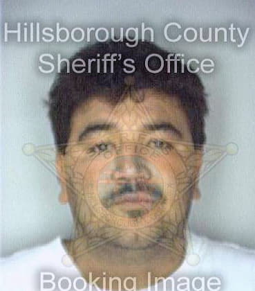 Gomez Luis - Hillsborough County, FL 