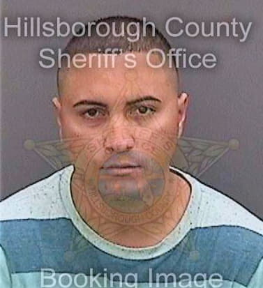 Marinnegron Wilfredo - Hillsborough County, FL 