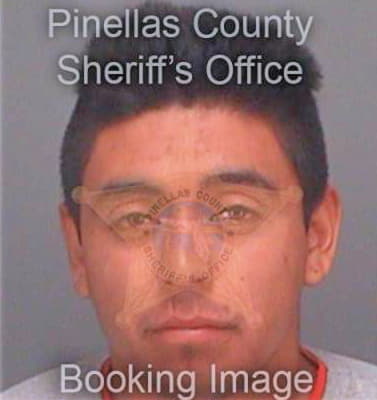 Rivera Gerardo - Pinellas County, FL 