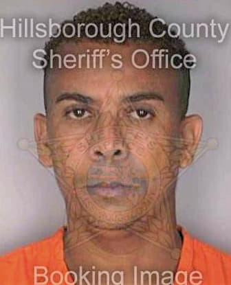 Martinez Mario - Hillsborough County, FL 