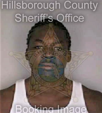 Mcdonald Dameon - Hillsborough County, FL 