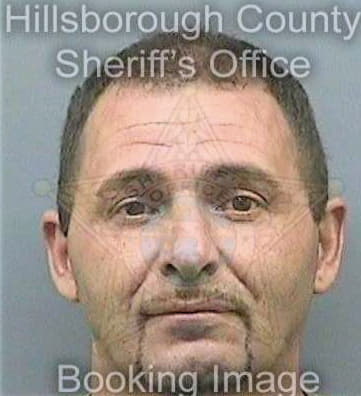 Gonzalez Gregorio - Hillsborough County, FL 