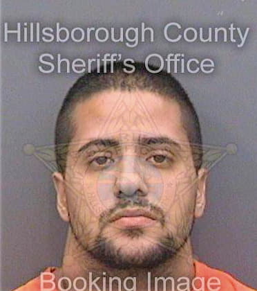 Perezgonzalez Andy - Hillsborough County, FL 